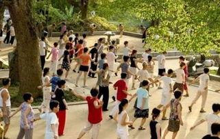 扎西枫丹娱乐吃瓜广场舞,吃瓜广场舞，揭秘娱乐圈新潮流